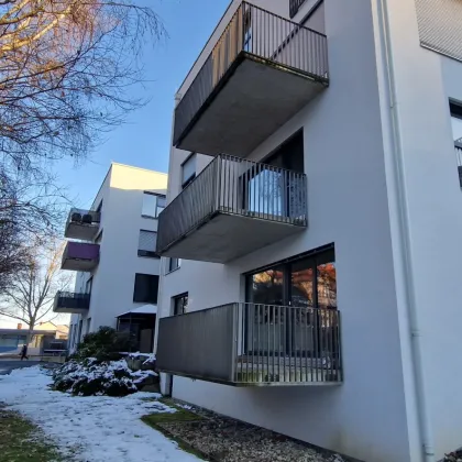 Grünblick - Anlegerwohnung in Eggenberg - Bild 2