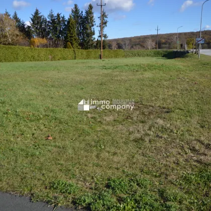 Baugrund im Südburgenland - Perfekt für Ihr Eigenheim in Burg! - Bild 3