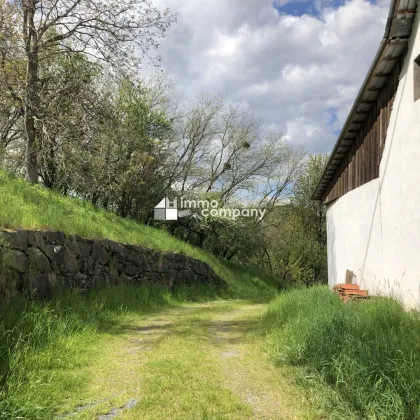 Einfach mal tief Luft holen und genießen…. Liebhaberobjekt mit ca. 2,6 ha arrondiertem Grund - Bild 3