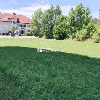 5000 m² großer Baugrund in der Gemeinde Bad Tatzmannsdorf - Bild 3