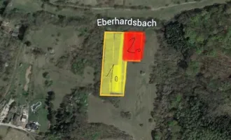 Verwilderter, mit alten  Sorten bestückter Obstgarten  im Moment als Wald gewidmet mit RODUNGSBESCHEID