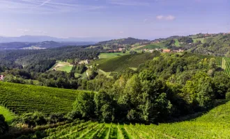 Verwandlung von Grünland in Wein- und Urlaubsparadies