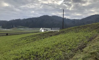 Über 1 ha Grund mit Bauland nahe Jennersdorf