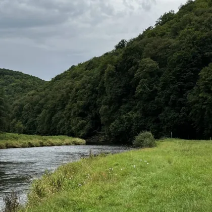 + Thayatal: 390 ha Hohe Jagd mit Mischwaldbestand + - Bild 2