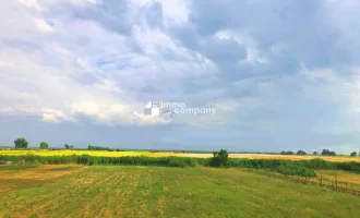 Ertragreiche landwirtschaftliche Nutzfläche, biologische Landwirtschaft 