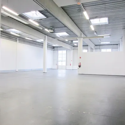 Lagerhalle 650 m2 mit Büro 230 m2 Kombination südlich von Wien, in Wr. Neudorf - Bild 3