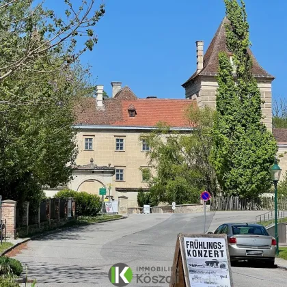 Vielseitiges Baugrundstück in Walpersdorf mit vielfältigen Bebauungsmöglichkeiten! - Bild 3