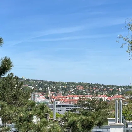 Dachgeschosswohnung mit Ausblick - Bild 2