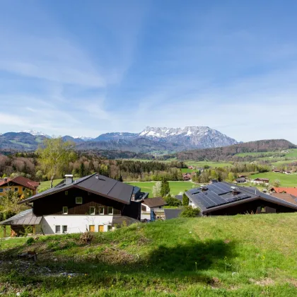 Panoramagrundstück am Wimberg / Bauplatz 1 - Bild 2