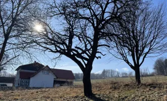 Baugrund mit tollem Ausblick