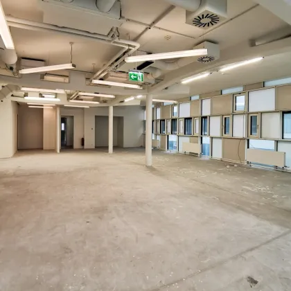 600 m2 Büro + 290 m2 Produktion Lager in 1140 Wien - Bild 2