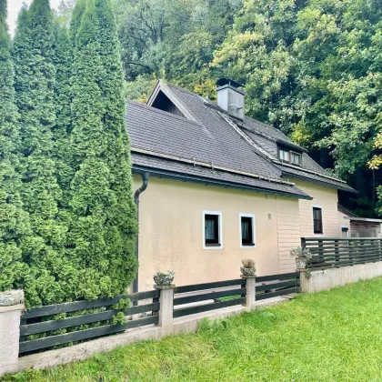 Einfamilienhaus am Waldrand - Bild 3