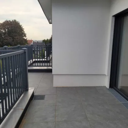 Neue 2 Zimmerwohnung mit großer Terrasse–in der Nähe zum Naturerholungsgebiet Lobau-Provisionsfrei - Bild 3