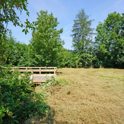 Ebenes Baugrundstück in sonniger Ruhelage -       nur 2 km vom Pressbaumer Zentrum - Bild 3