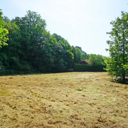 Ebenes Baugrundstück in sonniger Ruhelage -       nur 2 km vom Pressbaumer Zentrum - Bild 2