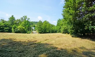 Ebenes Baugrundstück in sonniger Ruhelage -       nur 2 km vom Pressbaumer Zentrum