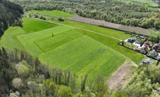 Natur- und zentrumsnahes Wohnen - 36 Baugründe in der sonnigen Trattensiedlung - Lendorf / Oberkärnten