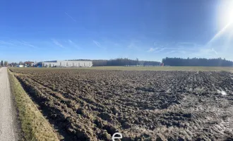 20.000m² Betriebsbaugrund in Steinhaus, Oberösterreich!