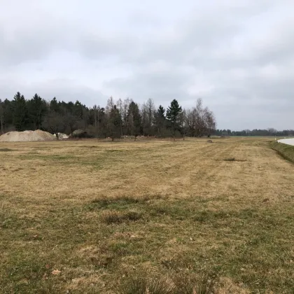 Rendite mit Photovoltaikanlage/Solaranlage auf 3,2 ha großem Baugrund im Bezirk Gmünd/NÖ - Bild 3