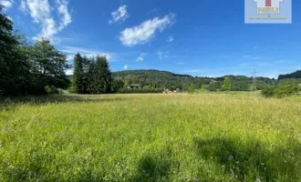 Schöne landwirtschaftliche Flächen mit 3.208m² - Nähe Hafnersee - Kein Baugrund!