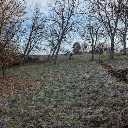 Großes Gartengrundstück in ruhiger Lage - Bild 2