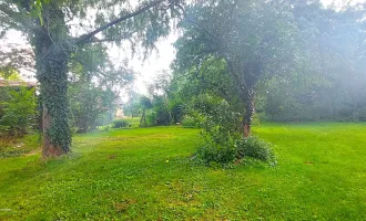 Absolute Ruhelage mit herrlichem Altbaumbestand, Potzneusiedl Quadratisches Baugrundstück