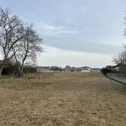 !! JORMANNSDORF !! Schönes Baugrundstück in angenehmer Ortslage !1 - Bild 2