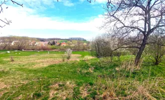 Baugrundstück 1747m² mit exklusivem Zugang zur Leitha, großem Garten, ideal für Huftiere, Enten (netto ca.500m² verbaubar)