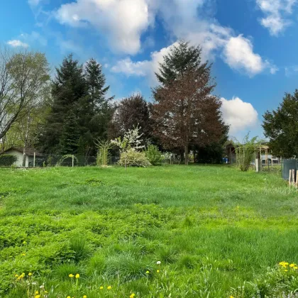 Ihr neues Zuhause – Rückzugsort in herrlicher Grünruhelage Nähe Sieghartskirchen - Bild 3