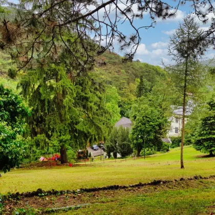 baugenehmigtes luxuriöses und exklusives Wohnbauprojekt in außergewöhnlicher Villen-Waldrandlage! Rund um - Natur pur! - Bild 3