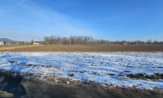 Perfekter Industriebaugrund für Ihren geschäftlichen Erfolg!