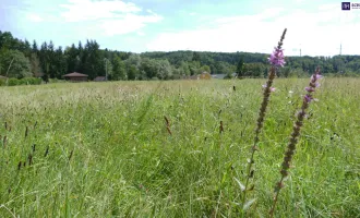 TOP-LAGE! ZUHAUSE IN HART BEI GRAZ! ZENTRALES UND FLACHES BAUGRUNDSTÜCK AM SACKGASSENENDE!