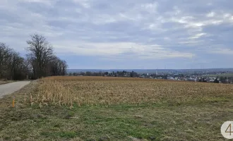 Naturnah investieren: Vielseitiges Grundstück in Wilfersdorf für nur 69.000,00 €!