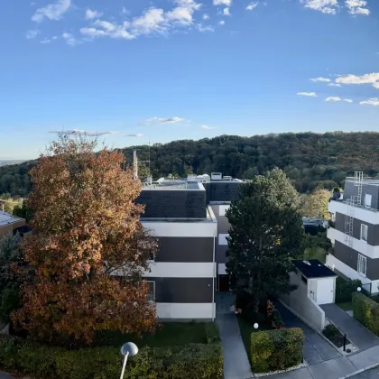 4-Zimmer Neubauwohnung mit Loggia und Luxusausstattung in begehrter Pötzleinsdorfer Lage - Bild 3