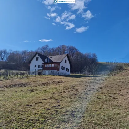 Buschenschank in den Weinbergen mit ca 9.000 m² Grundstücksfläche inkl. Weingarten - Bild 2