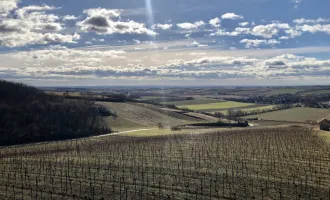 Großartige Investitionsgelegenheit Weingut mit Weingärten / Buschenschank / Fischzucht in traumhafter Aussichtslage