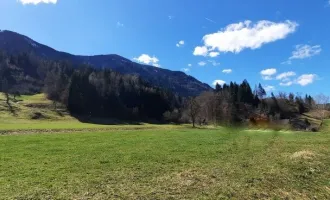 Renovierungsbedürftiges Bauernhaus zwischen Hermagor und Villach