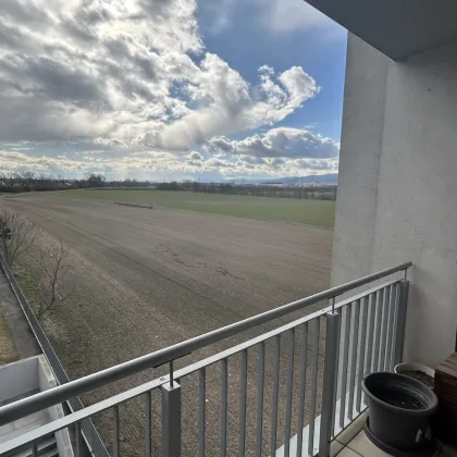 Modernes Wohnen in Laxenburg: Geräumige Wohnung mit Loggia, Einbauküche und Solarenergie - Bild 2