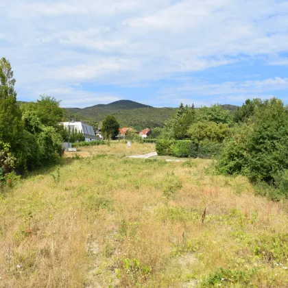 Herrliches großes Grundstück mitten in Sooss, schöner Fernblick und RUHE - Bild 2