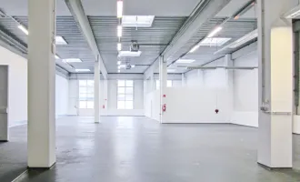 Lagerhalle 650 m2 mit Büro 300 m2 Kombination südlich von Wien, in Wr. Neudorf