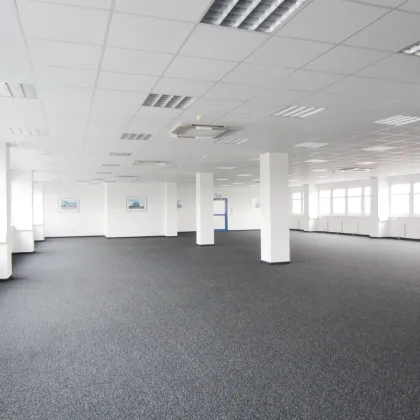 Lagerhalle 650 m2 mit Büro 450 m2 Kombination südlich von Wien, in Wr. Neudorf - Bild 2