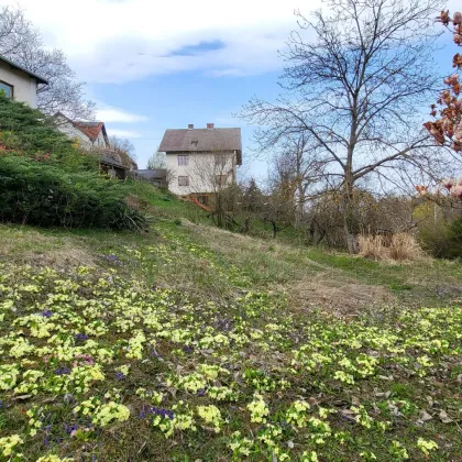 Einfamilienhaus in sanierungsbedürftigem Zustand - Sonniges Grundstück (Hanglage) - Viel Potential in Toplage - Bild 3