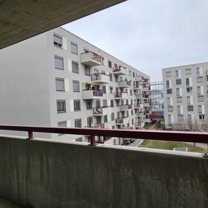 Unbefristeter Mietvertrag! 2 Zimmerwohnung mit Balkon in Westausrichtung - Bild 3