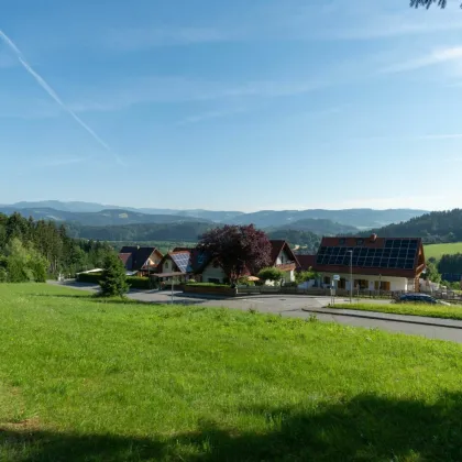 Jetzt pachten, später kaufen: Toller Baugrund am Waldesrand mit Weitblick - Bild 3