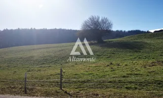 Es grünt so grün, 12 Minuten vor der Wiener Stadtgrenze