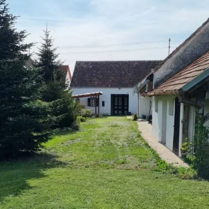 Nähe Güssing: Traditionelles Bauernhaus mit großem Garten - Bild 3