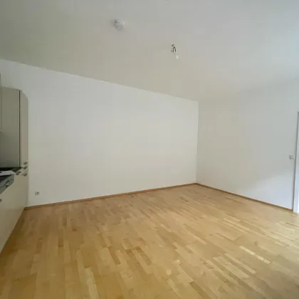 Herrengasse - frisch sanierte 3-Zimmer Wohnung unbefristet zu vermieten! - Bild 2