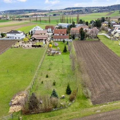 Energie-effizientes Landhaus mit großem Nebengebäude Nähe Tulln - Bild 3