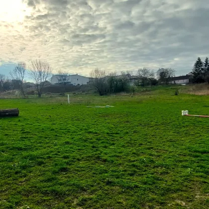 Blick über die Flußlandschaft, 3663m² Gesamtfläche, ca.1200m² reiner Baugrund - Bild 3