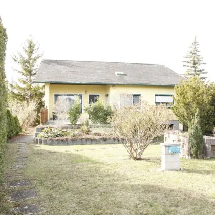 Perfekter Familienwohnsitz in Toplage in Ebreichsdorf  mit Garten, Terrasse, Sauna und Garage - Bild 2